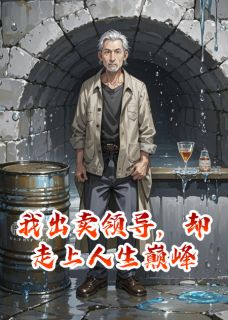 我出卖领导，却走上人生巅峰未删减阅读