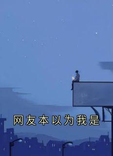 网友本以为我是by佚名免费阅读小说大结局
