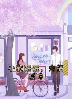 小叔醒醒，先搞暧昧by佚名免费阅读小说大结局-暗夜阅读网