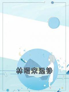 抖音爆款林昭宋远铮小说免费阅读