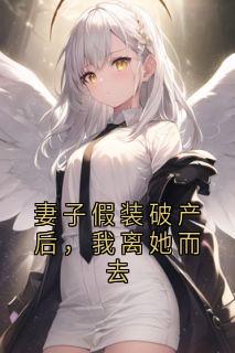 韩延宁愿小说妻子假装破产后，我离她而去全文阅读