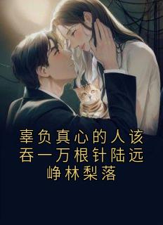 知乎小说辜负真心的人该吞一万根针陆远峥林梨落主角是陆远峥林梨落全文阅读