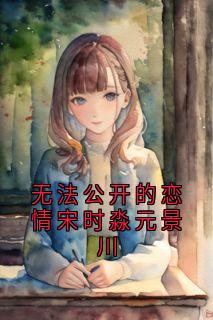 无法公开的恋情宋时淼元景川小说的书名是什么