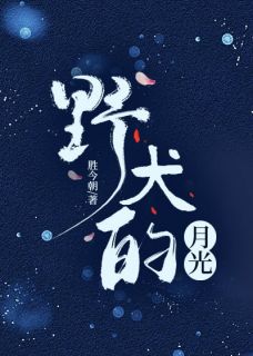 爆款小说野犬的月光在线阅读-贺云州宋甜免费阅读
