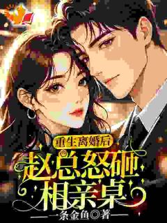 重生离婚后，赵总怒砸相亲桌程慕安赵闻洲小说全文章节阅读-暗夜阅读网