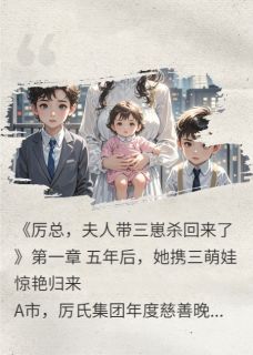 厉总,夫人带三崽杀回来了厉景深苏晚晴免费全章节目录阅读-暗夜阅读网