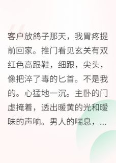 主人公顾屿深苏晚林淮小说三十岁，我决定重新开始在线全文阅读