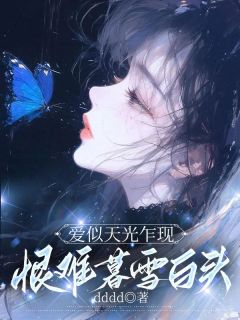 热文爱似天光乍现，恨难暮雪白头小说-主角陆祁安林茉全文在线阅读-暗夜阅读网