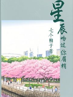 星辰吻过你眉梢章节全目录 沈星窈陆聿珩顾晚意全文免费阅读