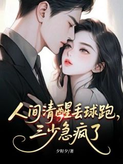 人间清醒丢球跑，三少急疯了林瓷谢辞舟全本小说（人间清醒丢球跑，三少急疯了）全章节小说目录阅读