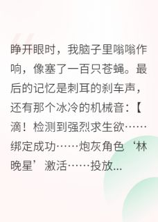 老书虫书荒推荐穿成炮灰后我靠摆烂带飞全家txt小说阅读