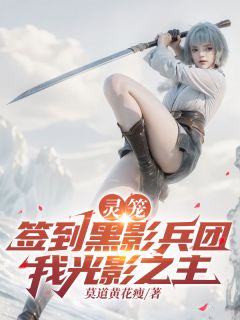 良心推荐灵笼：签到黑影兵团，我光影之主小说试读