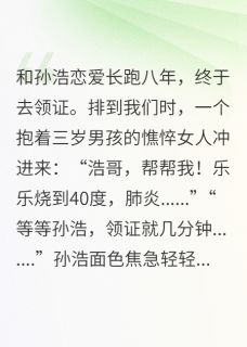独家领证当天，他初恋的遗腹子生病了小说-主角孙浩乐乐张玲全文免费阅读-暗夜阅读网