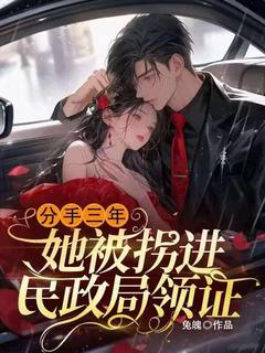 无弹窗小说分手三年，她被拐进民政局领证 作者兔魄-暗夜阅读网