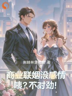 抖音小说【黎夏贺聿琛】全集免费版在线阅读-暗夜阅读网