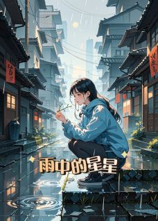 雨中的星星小说(连载文)-小满小雨无广告阅读