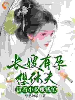 (抖音)长嫂有孕想休夫，带着小叔赚钱忙叶青霜赵元青小说免费全文阅读-暗夜阅读网