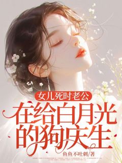 【新书】女儿死时老公在给白月光的狗庆生主角宋澜沈长清全文全章节小说阅读