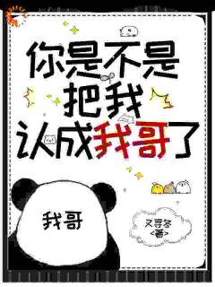 你是不是把我认成我哥了免费阅读全文，主角棠心陆孟周小说完整版最新章节-暗夜阅读网