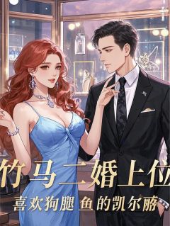 竹马二婚上位小说林晚江叙白最新章节阅读-暗夜阅读网