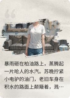 老书虫推荐我的鉴宝直播间，专打假千金的脸 在线阅读-暗夜阅读网