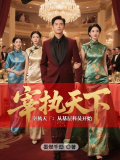 宰执天下：从基层科员开始苏宸林清寒钱伟无广告在线阅读-暗夜阅读网