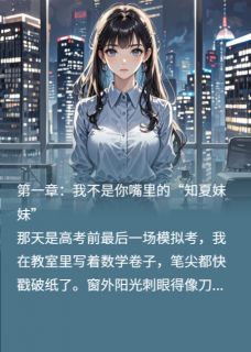 重生后，我成了他公司的死对头（全本）顾远航苏晴完整章节列表免费阅读-暗夜阅读网