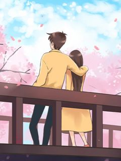 主角沈雨嫣谢子晨小说，把我关在疯人院后，老婆后悔了免费阅读全文-暗夜阅读网