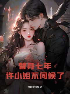 替身七年，许小姐不伺候了小说(完本)-许栀陆城无错版阅读-暗夜阅读网