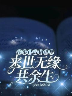 往事已成相思梦，来世无缘共余生无弹窗在线阅读-暗夜阅读网