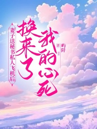 妻子送秘书私人飞机后，换来了我的心死林书阳宋婉全章节完结版在线阅读