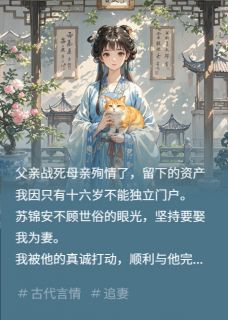 老书虫力荐休书落我还他死局免费无弹窗阅读