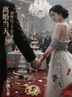 离婚当天，我摔出了个首富老公(我人在南方)最佳创作小说全文在线阅读-暗夜阅读网