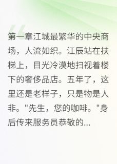 (精品)豪门太子爷回归复仇小说