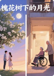 精彩小说槐花胡同的月光陈树生林晚秋轮椅全章节在线阅读