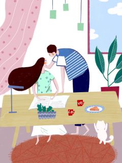陆屿舟迟砚夏芷小说最后结局  陆屿舟迟砚夏芷完结版免费阅读