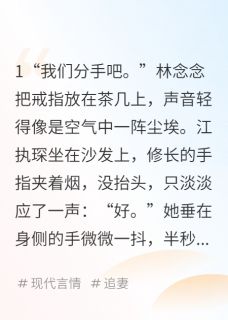 江执琛林念念高冷自大前任半夜敲门求复合小说完整版