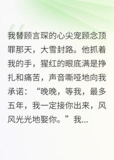 我替姐姐坐牢，他娶了我仇人(顾言琛顾念苏晴晴)小说全章节目录阅读