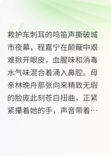 被调换的十七年(程嘉宁赵金花林晚舟)小说全章节目录阅读-暗夜阅读网