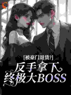 (精品)被豪门退货？反手拿下终极大BOSS小说-暗夜阅读网