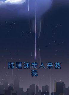 陆瑾渊带人来救我by姜清雨小说完结版在线阅读
