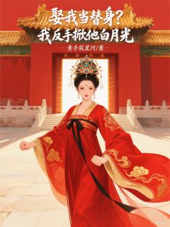 新书推荐娶我当替身？我反手掀他白月光完整版小说-朱玥子燕昭最新章节阅读-暗夜阅读网