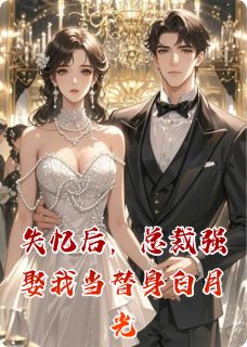(抖音)失忆后，总裁强娶我当替身白月光苏晚沈聿白小说免费全文阅读-暗夜阅读网