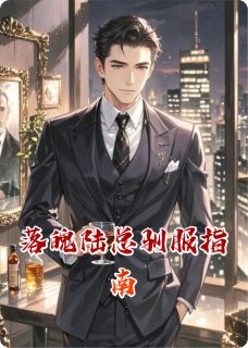 落魄陆总驯服指南完整版-陆景枭安宁在线全文阅读