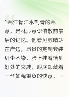 苏晴林辰是哪部小说的主角 重生之再来全文无弹窗-暗夜阅读网