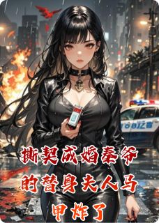 良心推荐撕契成婚秦爷的替身夫人马甲炸了小说试读