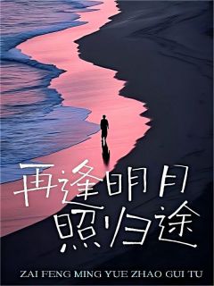 无广告小说再逢明月照归途-沈念安陆铭修沈叶颜在线阅读