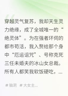 快手热推入赘后，我和老婆的爱巢成了神域小说主角穆冰雪萧峰在线阅读-暗夜阅读网