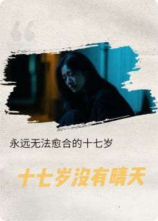 书荒推荐十七岁没有晴天(许念程野)在线试读-暗夜阅读网