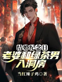 精品小说结婚纪念日，老婆和绿茶男入洞房全文目录畅读-暗夜阅读网